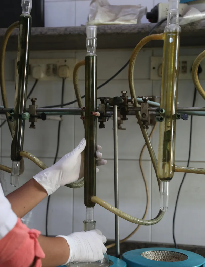 Yogleela Sulphur manufacturing facility, Vapi, Gujarat
